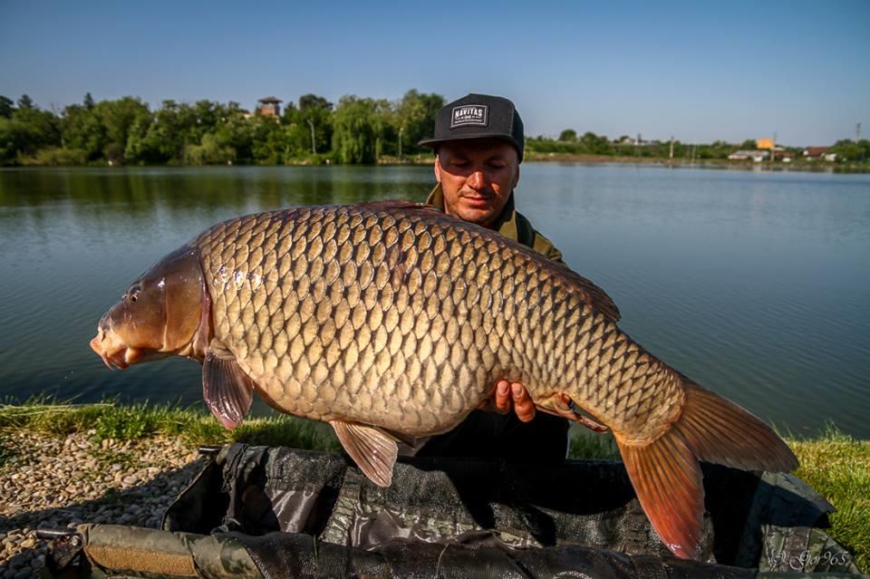 Cupa Pescarilor Hermes-Peris-mai 2015 - 111466129036933263206292370082784972882268n.jpg